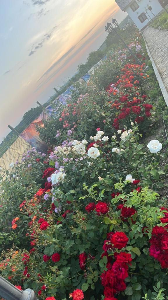 Relax Hotel Greci Exterior foto